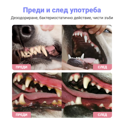 ДЕНТАЛЕН СПРЕЙ ЗА ДОМАШНИ ЛЮБИМЦИ 1+1 Безплатна - Image 2
