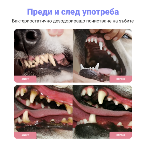 ДЕНТАЛЕН СПРЕЙ ЗА ДОМАШНИ ЛЮБИМЦИ 1+2 Безплатна! - Image 2