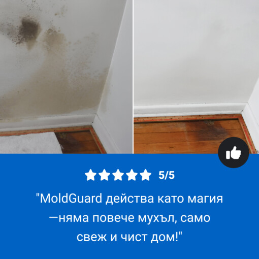 MoldGuard - Препарат за премахване на мухъл и дълготрайна защита в спрей форма - Image 8